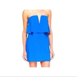BCBGMAXAZRIA Kate Strapless Mini Dress